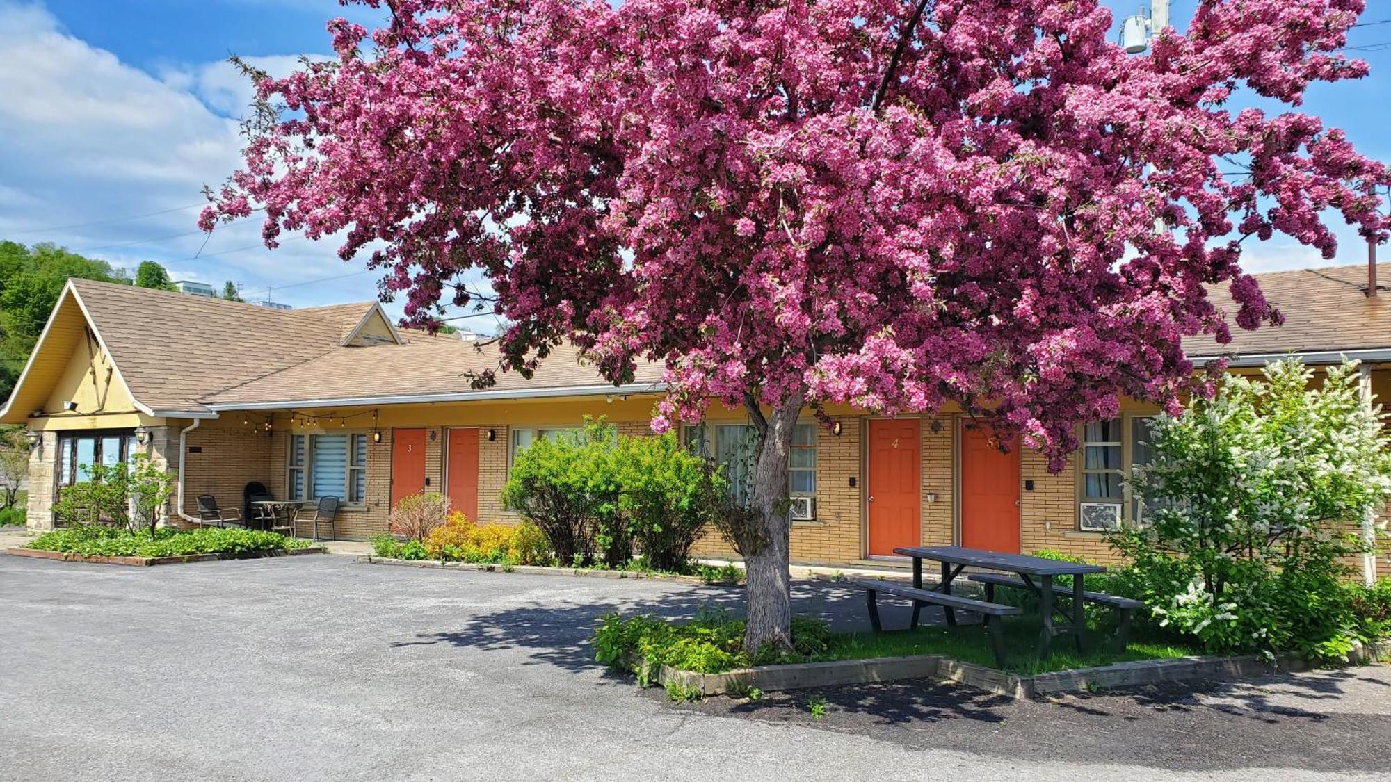 Motel Lofts Fleuve Et Montagnes Sainte-Anne-de-Beaupré Exteriér fotografie